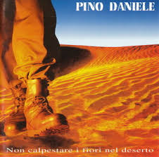 pino daniele non calpestare i fiori nel deserto fronte