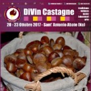 diVin Castagne 2017